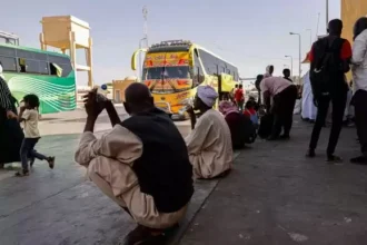 مليون مشروع للشباب.. هل تنجح الخطة في مواجهة الفقر؟