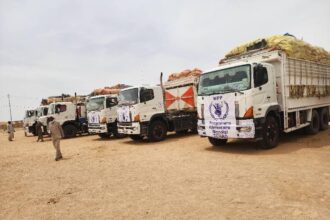 خطر وشيك.. إمدادات الغذاء في السودان قد تنتهي خلال أسابيع
