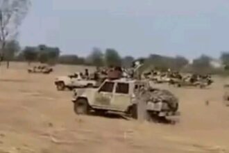وردنا الآن.. مدينة بارا