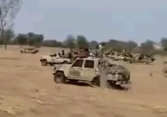 وردنا الآن.. مدينة بارا