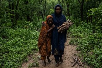 اغـ.تصاب فتاتين أثناء جمع الحطب في غابة