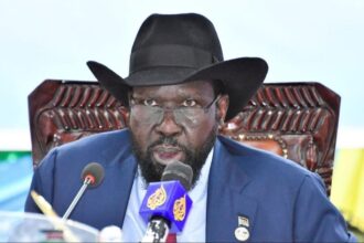ورد إلينا.. جنوب السودان
