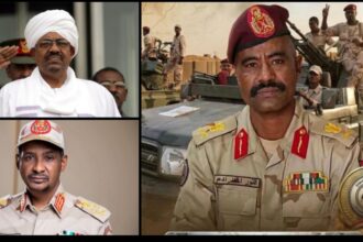 النور القبة يكشف ما حذّر منه البشير قبل الحرب